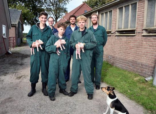 De studenten op het varkensbedrijf bij de familie Van 't Klooster (foto Lenus van der Broek)