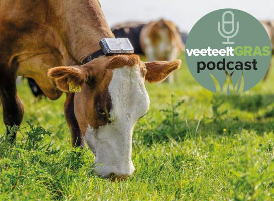 Op dit moment maken 75 bedrijven gebruik van het systeem van draadloos weiden van Collie