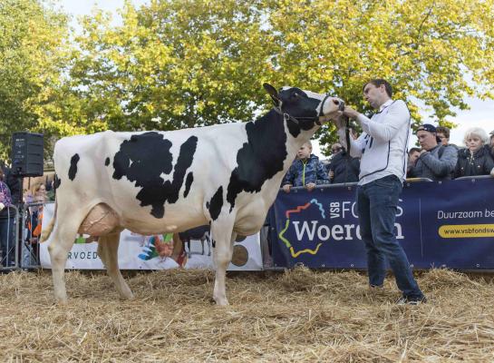 Amusedochter Ricky 5 werd door de burgemeester van Woerden tot dagkampioene aangewezen (foto: Teus van Herk)