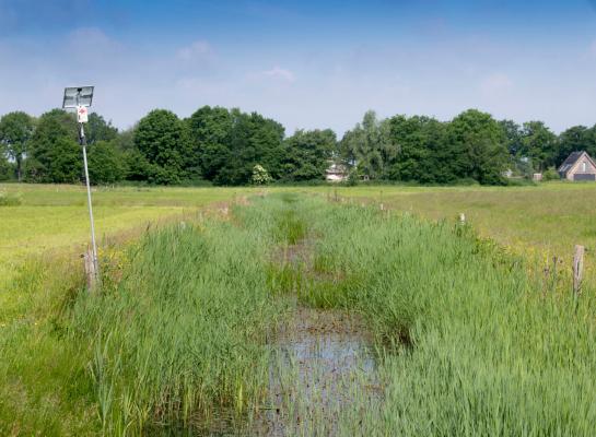In het nieuwe plan van de Landbouw Alliantie staat onderbouwing van benodigde maatregelen om natuur te herstellen centraal