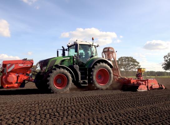 Door maisland in te zaaien met gras wordt aan de rustgewasverplichting voldaan