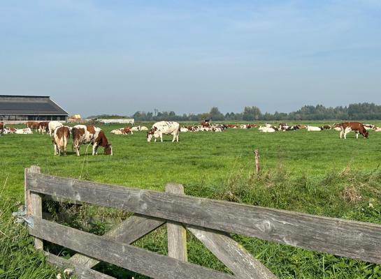 Maak er een sport van om het herfstgras te blijven benutten, tipt de Weideman