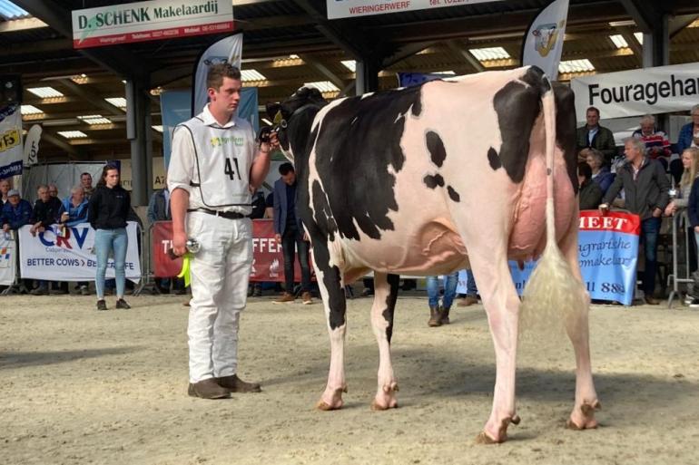 JK Eder DG Carmen 5 won het algemeen kampioenschap in Middenmeer