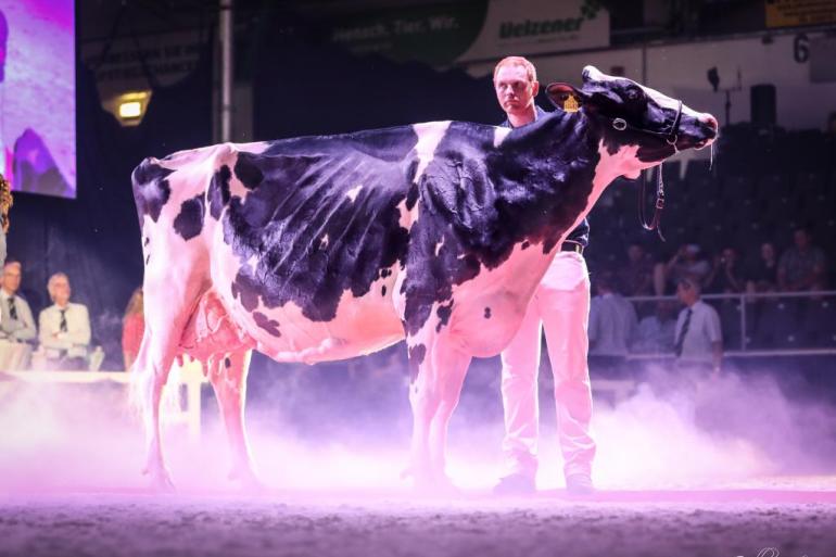 Fux Seattle, die inmiddels bijna 96.000 kg melk op de teller heeft, won ook de voorlaatste Schau der Besten in februari 2020 (foto: Masterrind)