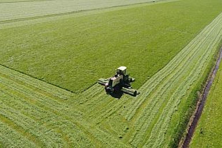 Een hectare grasland was in het tweede kwartaal gemiddeld 63.600 euro waard