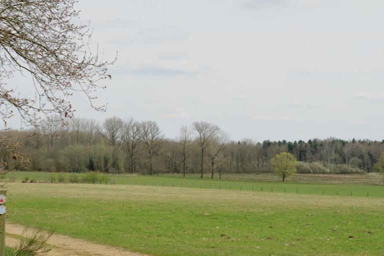 In veel natuurgebieden is een herstelronde met calcium hard nodig, volgens Eurofins