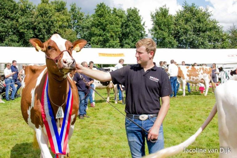 De keuring in Oldebroek wordt verschoven naar woensdag 14 september (foto: Jacoline van Dijk)
