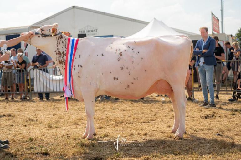 Atticodochter J&G Redspot 157 won in Wierden het algemeen kampioenschap (foto: Fleur Maartje Bakker)