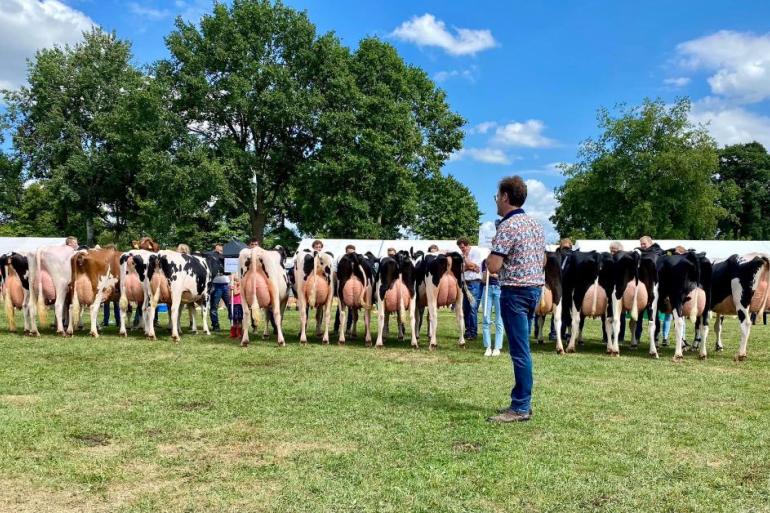 In Vriezenveen gaven elf bedrijfscollecties acte de présence, links de winnende groep van Abbink Melkveehouderij van bedrijfsleider Emiel Willems (foto: Johannes Schipper)