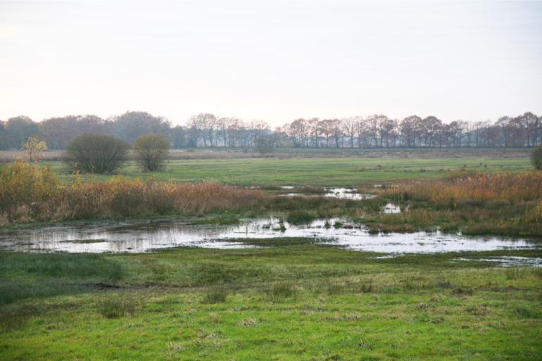 Stichting Agrifacts onderzocht de verschillen in Europese en Nederlandse beoordeling van natuur