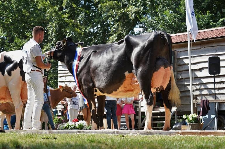 Tineke 799 (v. Malki) mag zich een jaar lang Barones van de Mariënwaerdt noemen (foto: Lianna Kolff)