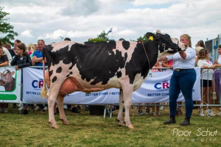 De Wijde Blik (v. Bag0lino) wint in Ommen