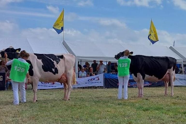 Het kampioensduo bij de senioren: Gretha 151 en Eelkje 497