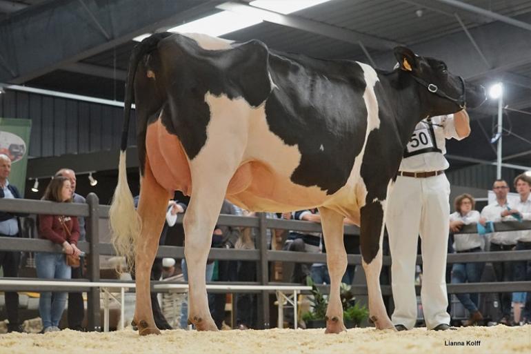 Olana won eerder dit jaar ook de vaarzentitel in Ravels en Bogaarden (foto: Lianna Kolff)