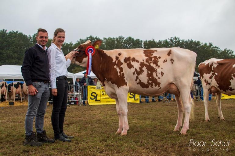 Klarien 62 (v. Attraction) van de familie Schilderinck won de vaarzentitel bij roodbont (foto: Floor Schut)