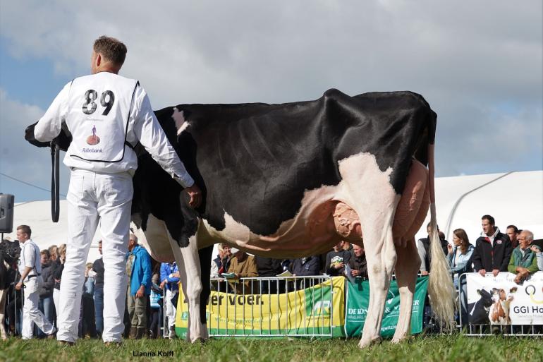 Bons-Holstein Koba 245 (v. Doorman) wint in Hoornaar (foto Lianna Kolff)