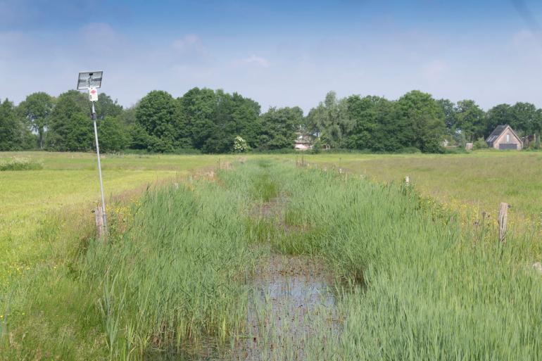 De Vlaamse Raad voor Vergunningsbetwistingen stelt dat in het stikstofdossier geen verschil gemaakt kan worden gemaakt tussen de stikstofuitstoot van landbouw en die van industrie