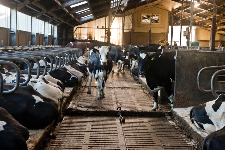 Bij het besproeien van de vloer met water maakte wel of niet schuiven van de vloer nauwelijks verschil