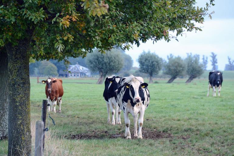 Er komt een bedrag van 227 miljoen euro beschikbaar om onder meer over te schakelen naar natuurinclusieve landbouw