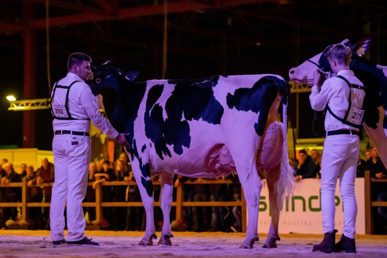 De familie Steegink uit Okkenbroek won het algemeen kampioenschap zwartbont met Heerenbrink Angelina (foto Els Korsten)