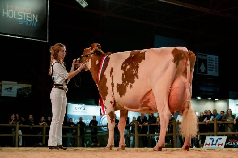 Heerenbrink Truus 4 wint het algemeen kampioenschap roodbont (foto Els Korsten)