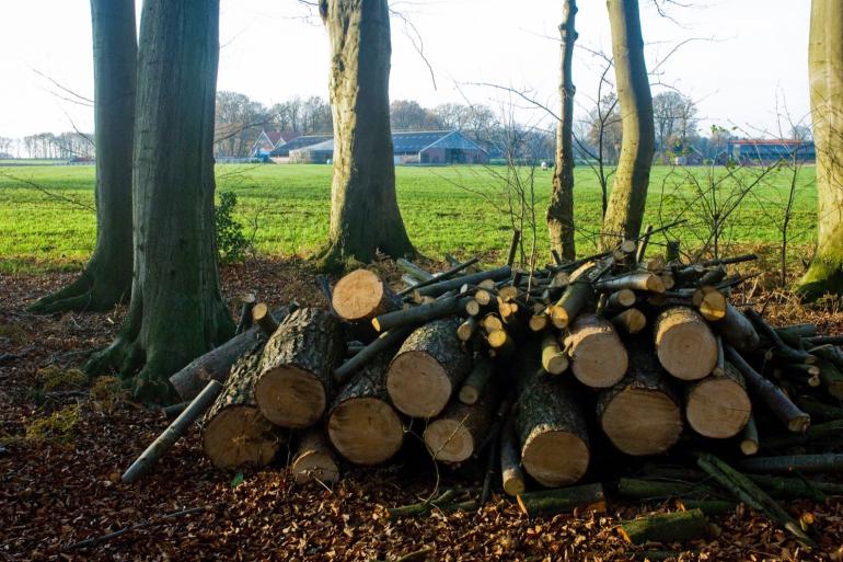 Pachters van provinciale landbouwgrond in Overijssel mogen hun percelen in 2023 niet bemesten, beweiden is wel toegestaan