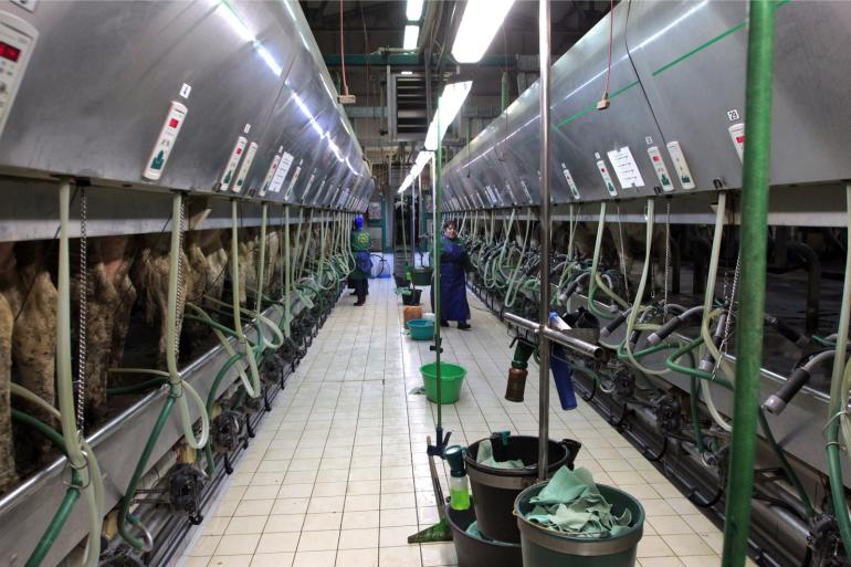 De gevolgen van de oorlog treffen niet alleen Oekraïne en Rusland, maar raakt volgens Smits door de stagnerende voedselproductie ook de rest van Europa en de wereld