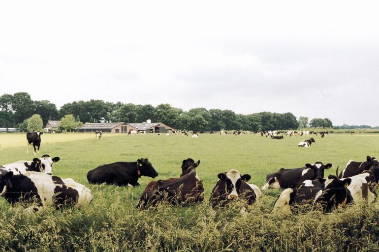 Vlaanderen zet in op toekomstbestendig beweidingsadvies