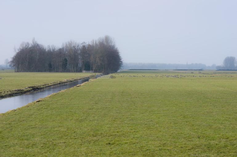 Grasland werd in 2022 4,7 procent duurder