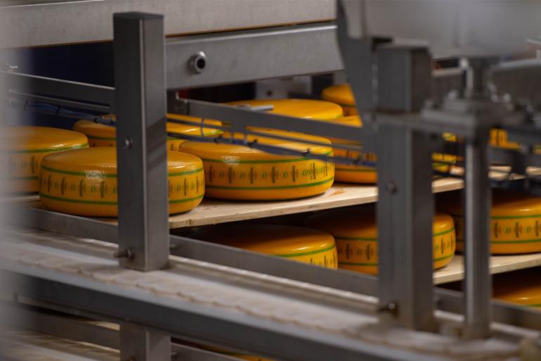 In 2022 ging 58% van de Nederlandse melk naar kaasproductie