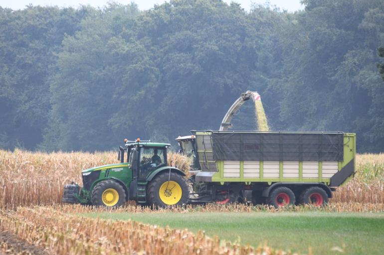 In de MaisChallenge wordt de hele snijmaisteelt, van zaaibedbereiding tot inkuilen, gevolgd en beoordeeld 