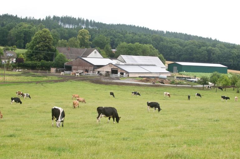 Vorig jaar werd er in Duitsland en Frankrijk fors meer biologische melk geproduceerd dan werd geconsumeerd