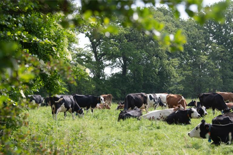 Het aanwijzen van gronden dichtbij natuurgebieden waarvoor strenge regels gaan gelden, is een breekpunt gebleken voor Agractie om deel te nemen aan het overleg voor een Landbouwakkoord