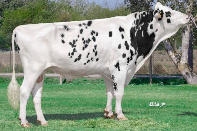 Pegasus verbeterde zijn score met 275 punten en scoort nu 4413 PFT