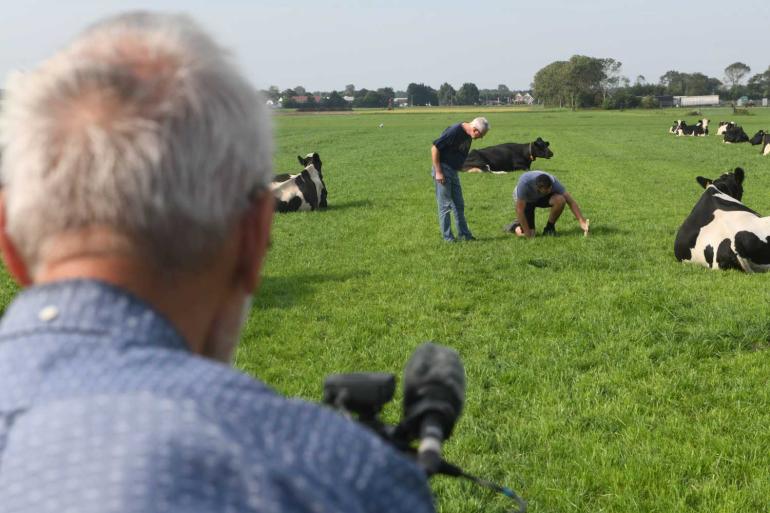 In de competitie Beste Graslandboer gaan jury en publiek op zoek naar boeren met een hart voor gras