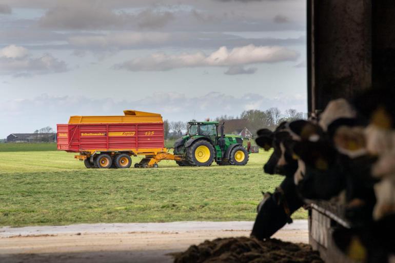 Het gras dat nu groeit, wordt door de hoge suikerwaarden optimaal benut