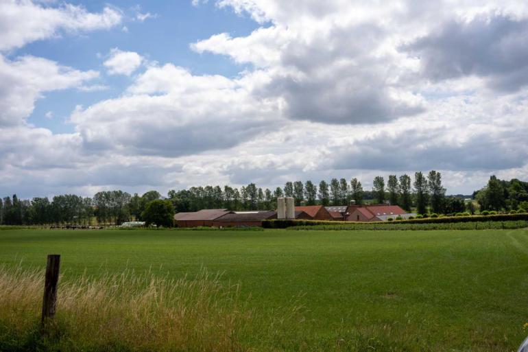 Een hectare Vlaamse landbouwgrond kostte in de eerste helft van 2023 ruim 66.000 euro