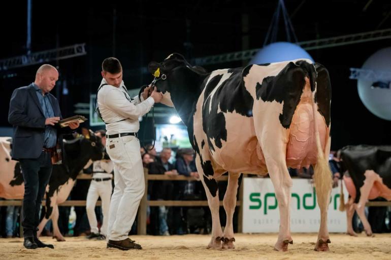 De HHH-show vindt dit jaar opnieuw plaats in Leeuwarden