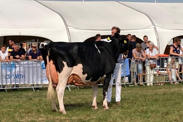 Na het kampioenschap in de middenklasse vorig jaar, was Bons-Holsteins Koba 245 nu de sterkste bij de senioren