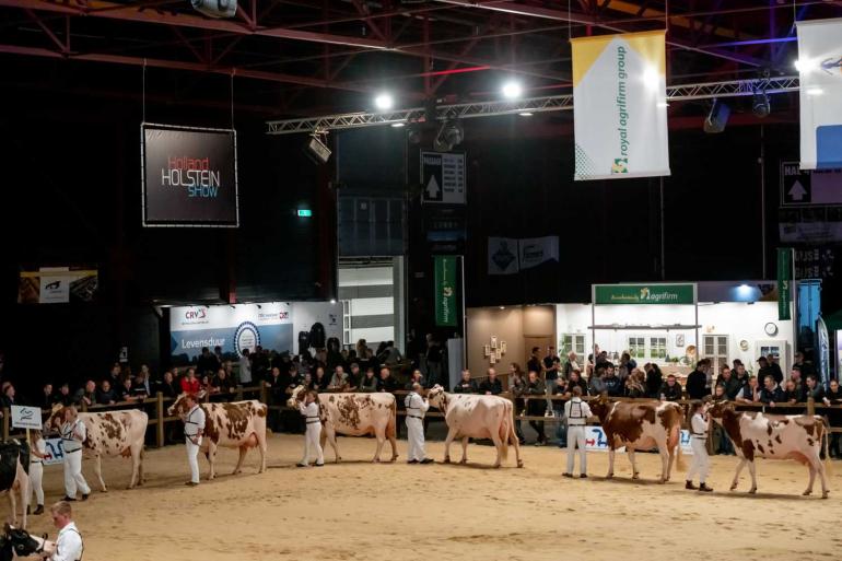 Drie dochtergroepen verschijnen dit jaar in de ring op de HHH-show (foto: Els Korsten)