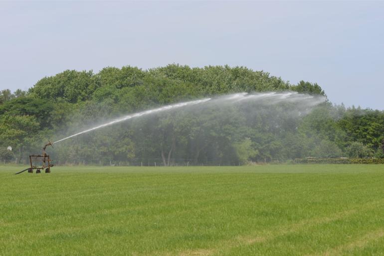 Gras heeft een lang groeiseizoen en continu behoefte aan water. Daarom is het gewas gevoelig voor droogte