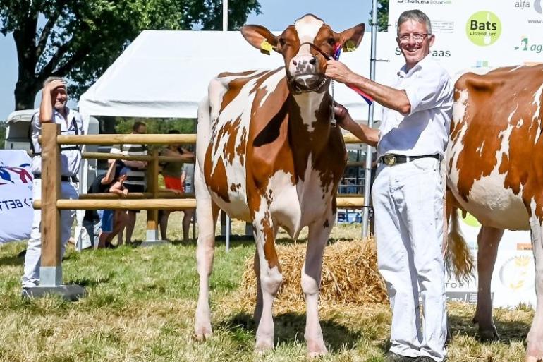 De nieuwe LTO vakgroepsbestuurder Harm Albring is zeer actief in de fokkerij (foto: Henk Lomulder)