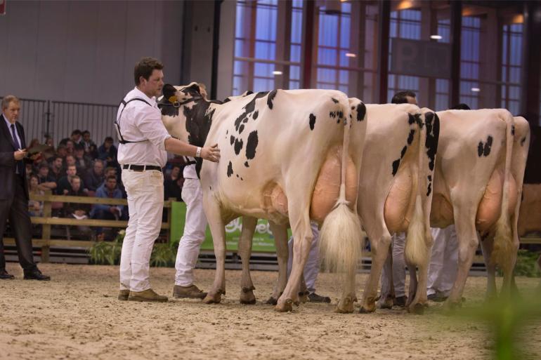 Alana van familie Van Hoof pakt reekswinst en de reservetitel in de middenklasse