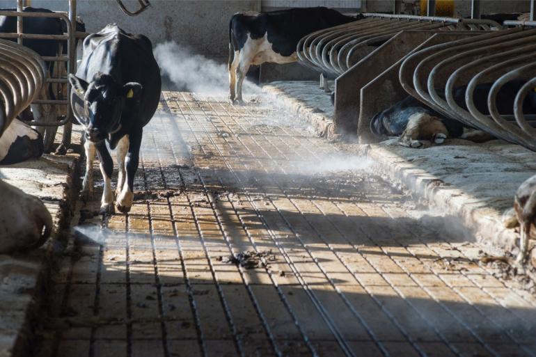 Op De Marke gaan verschillende sensoren de stalemissies meten