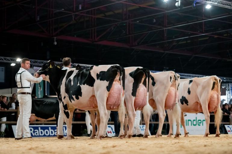 Heerenbrink Angelina schreef op de HHH-show zowel het algemeen kampioenschap als het kampioenschap in de middenklasse op haar naam (foto: Els Korsten)