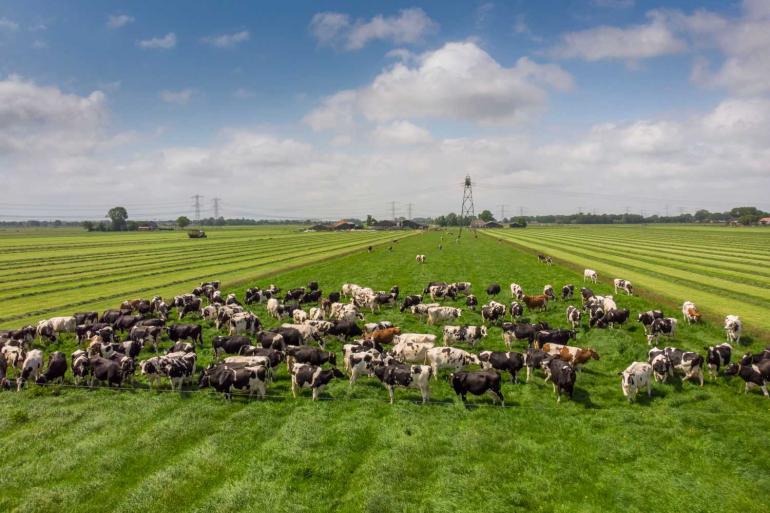 Snel schakelen van nat naar droog en weer van droog naar nat was vaak nodig in het weideseizoen 2023