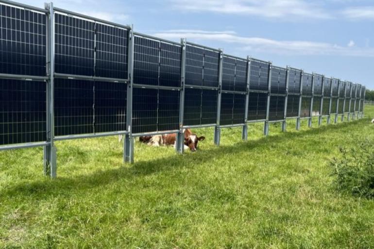 In het project SolarMilk wordt gebruik gemaakt van verticaal geplaatste en zonvolgende panelen.