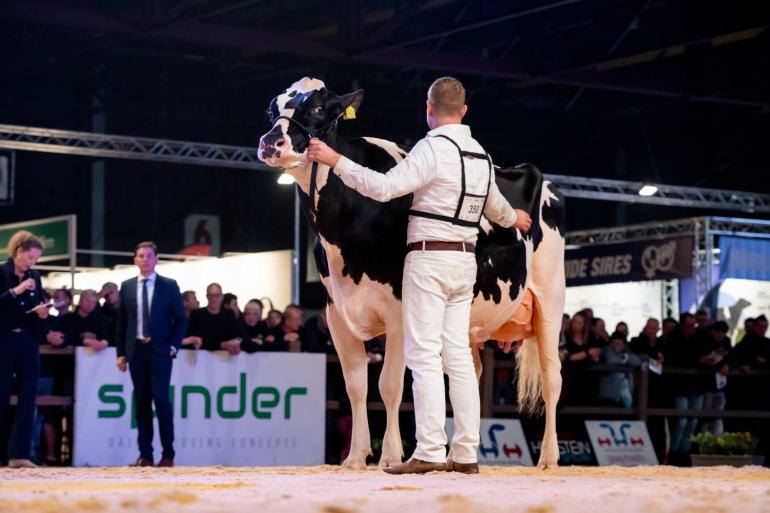 Thomas Steegink leidt Heerenbrink Angelina naar de overwinning (foto: Els Korsten)