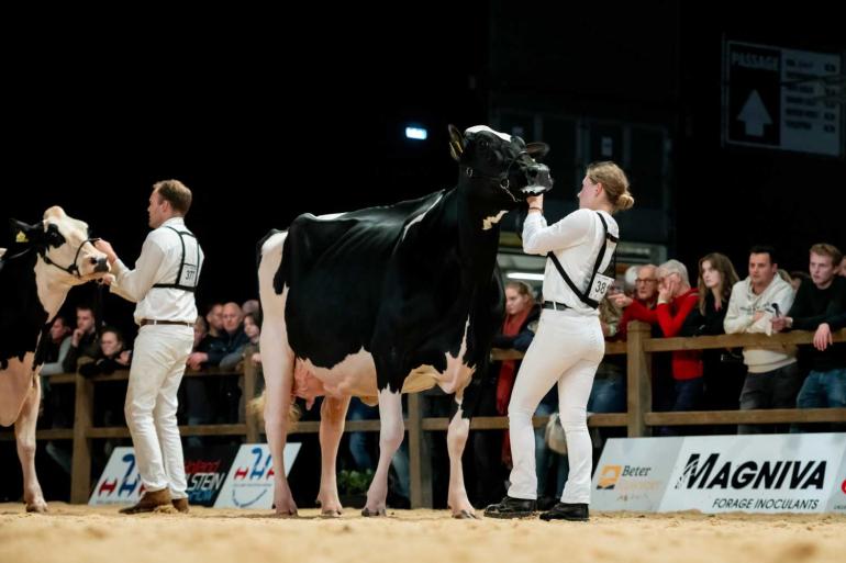Topcross Janice 1 (v. Charityman) won op de HHH-show de titel bij de senioren (foto: Els Korsten)