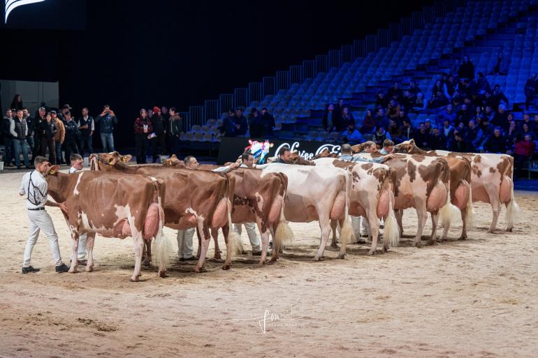 Algemeen kampioene Famos Awesome Ariane op kop in de rubriek (foto: Fleur Maartje Bakker)